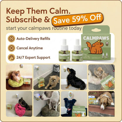 CalmPaws™ Dog Anxiety Relief Diffuser
